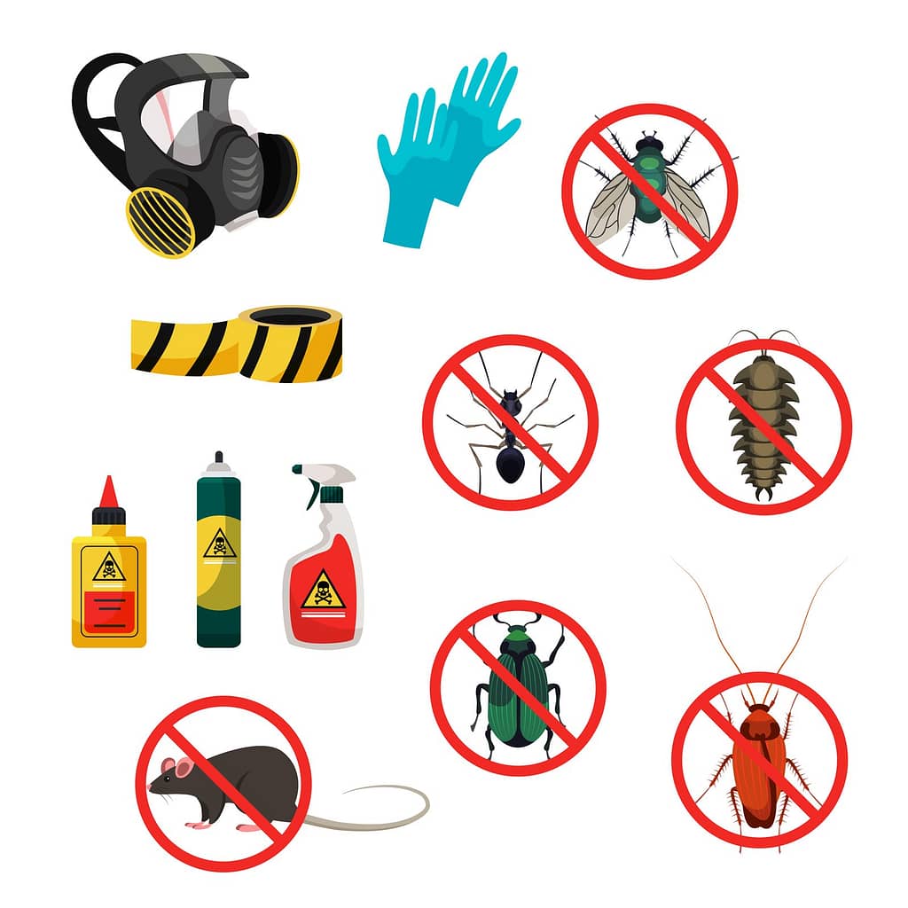Professional Pest Control and Cleaning Services
