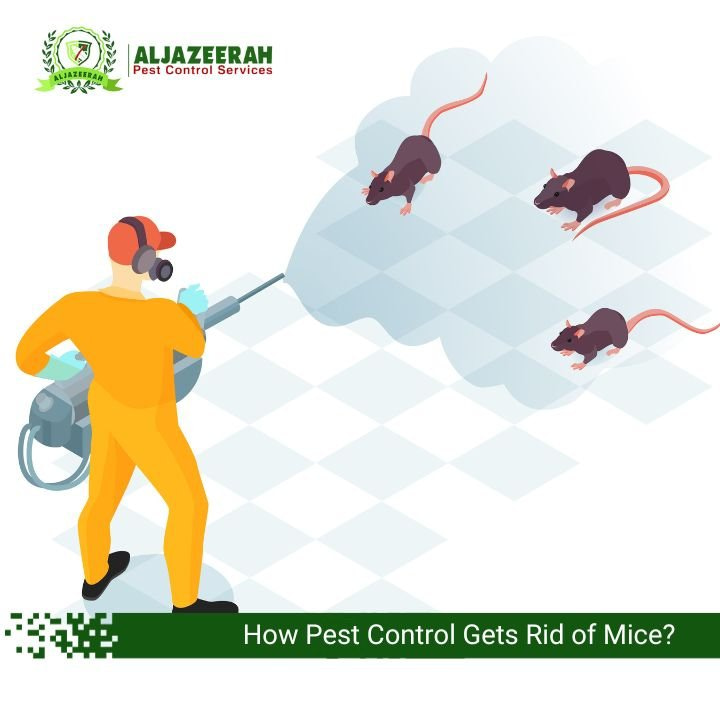 How Pest Control Gets Rid of Mice