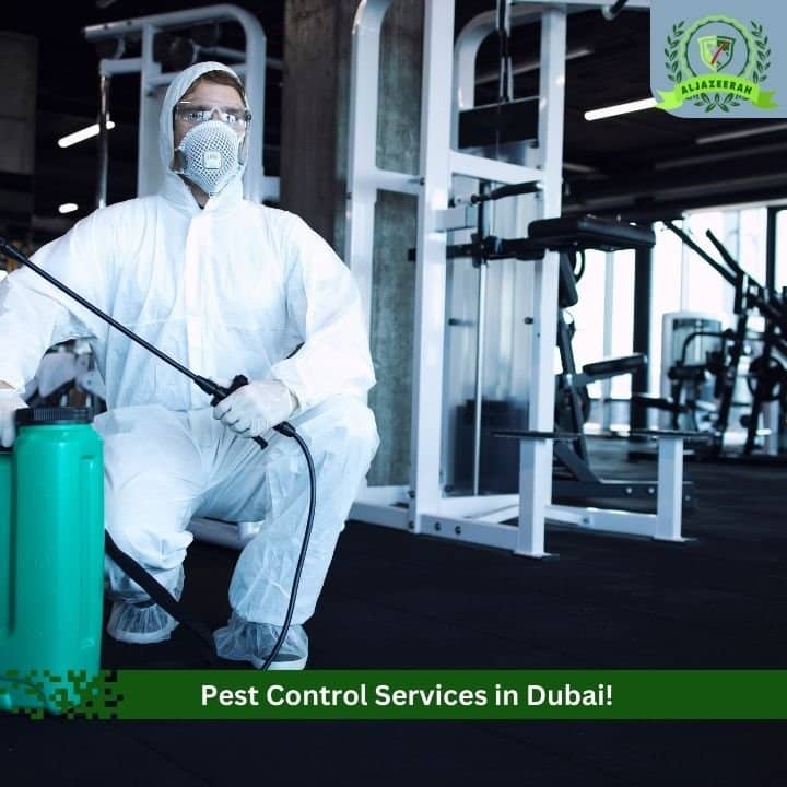 Is Monthly Pest Control Necessary