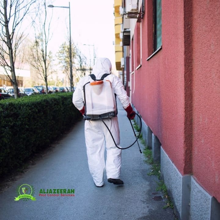 Is Pest Control Safe for Humans