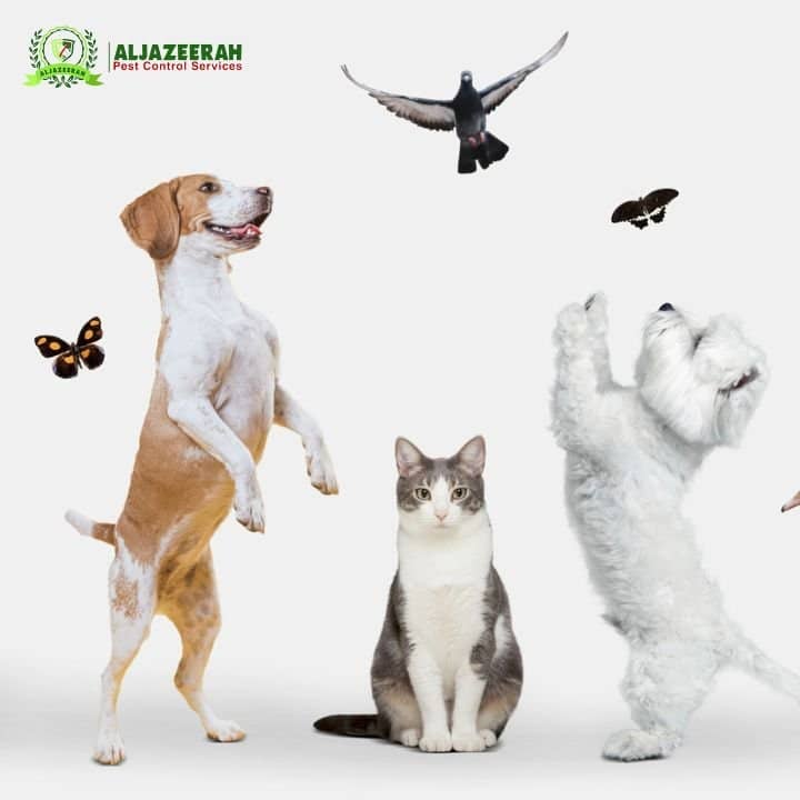 Is Pest Control Safe for Pets